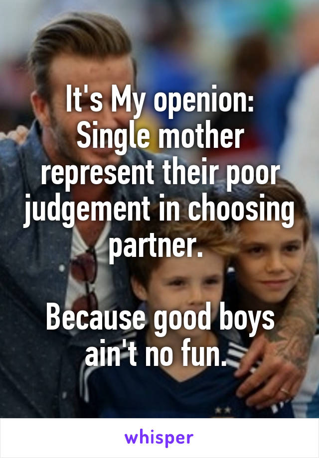 It's My openion:
Single mother represent their poor judgement in choosing partner. 

Because good boys ain't no fun. 