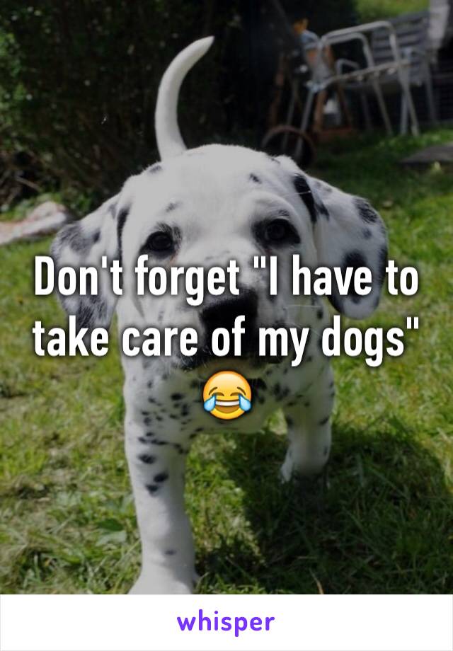 Don't forget "I have to take care of my dogs" 😂