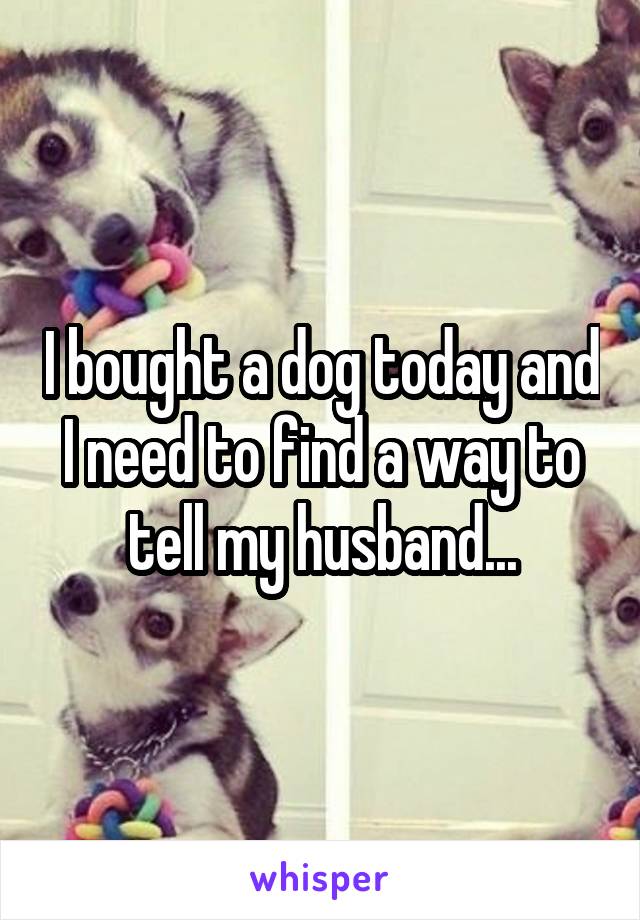 I bought a dog today and I need to find a way to tell my husband...