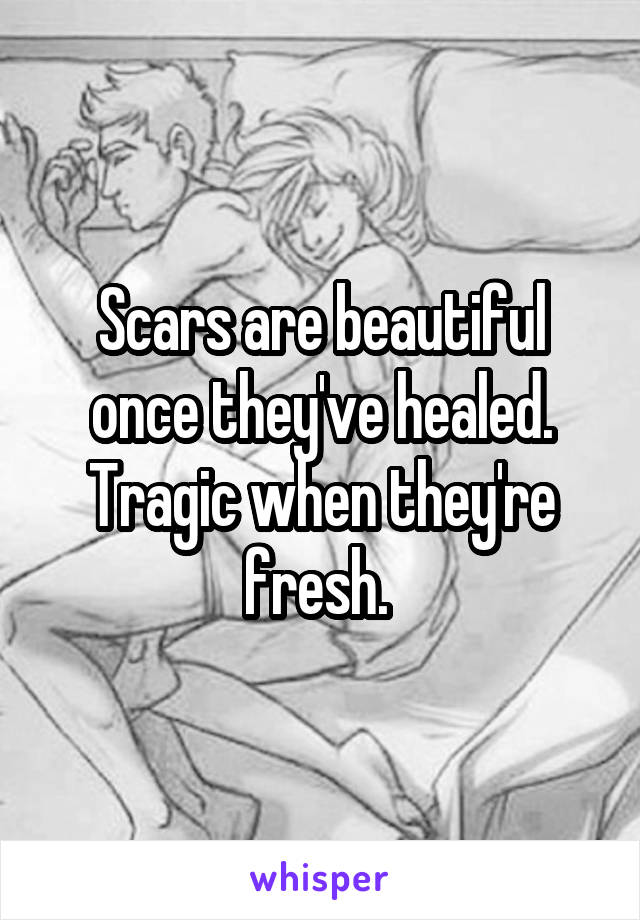 Scars are beautiful once they've healed. Tragic when they're fresh. 