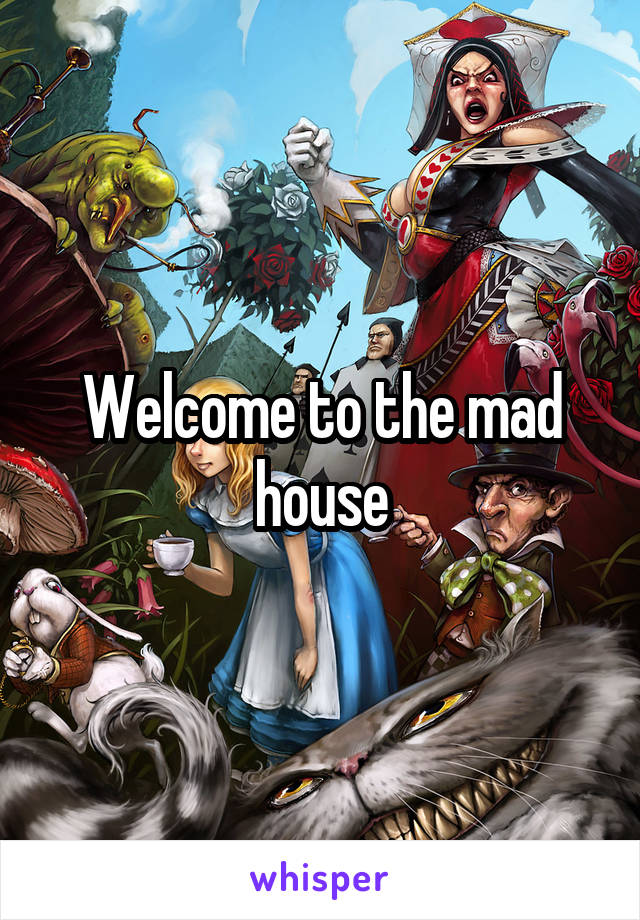 Welcome to the mad house