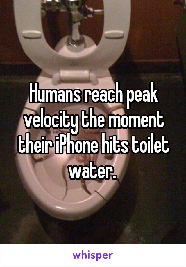 Humans reach peak velocity the moment their iPhone hits toilet water. 