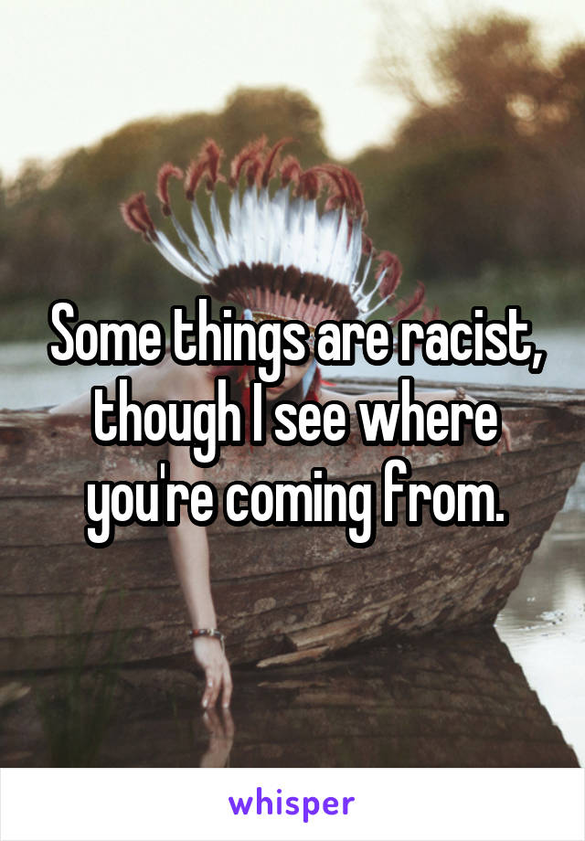 Some things are racist, though I see where you're coming from.