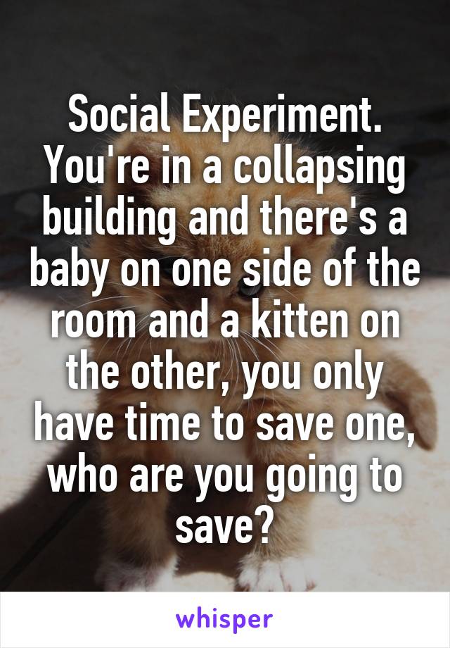 Social Experiment.
You're in a collapsing building and there's a baby on one side of the room and a kitten on the other, you only have time to save one, who are you going to save?