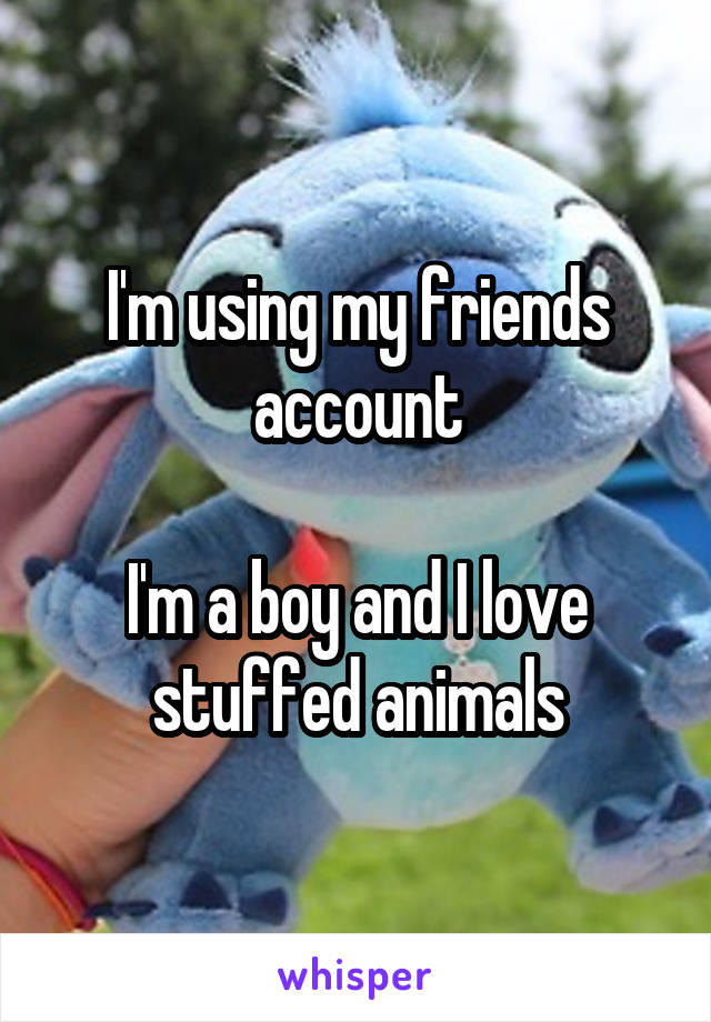 I'm using my friends account

I'm a boy and I love stuffed animals