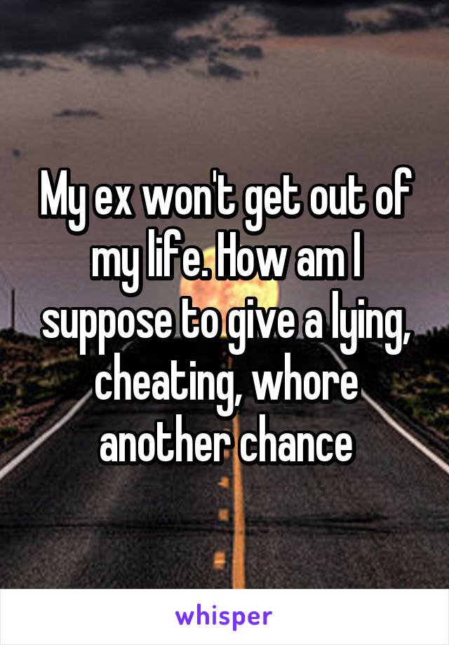 My ex won't get out of my life. How am I suppose to give a lying, cheating, whore another chance