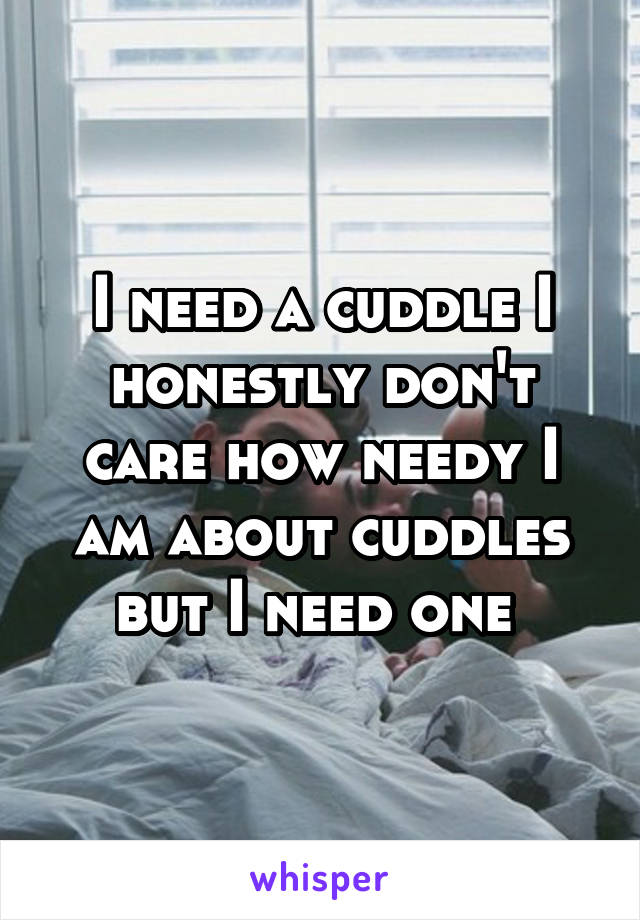 I need a cuddle I honestly don't care how needy I am about cuddles but I need one 