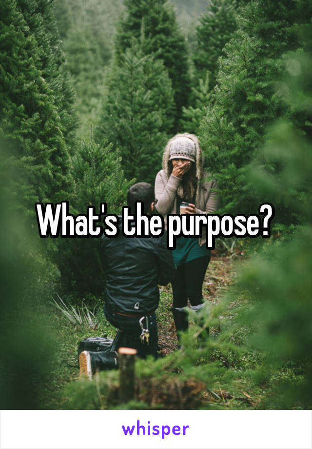 What's the purpose? 