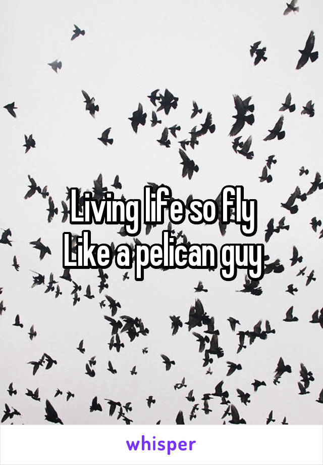 Living life so fly
Like a pelican guy