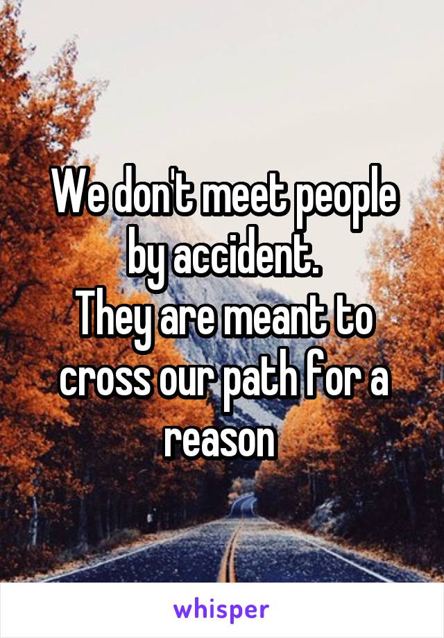 We don't meet people by accident.
They are meant to cross our path for a reason 