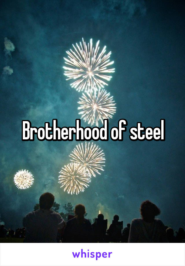 Brotherhood of steel