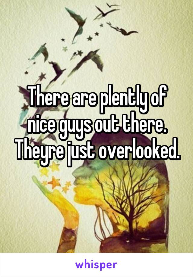 There are plently of nice guys out there. Theyre just overlooked. 