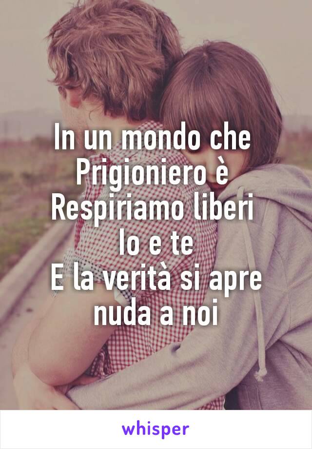 In un mondo che 
Prigioniero è 
Respiriamo liberi 
Io e te
E la verità si apre nuda a noi