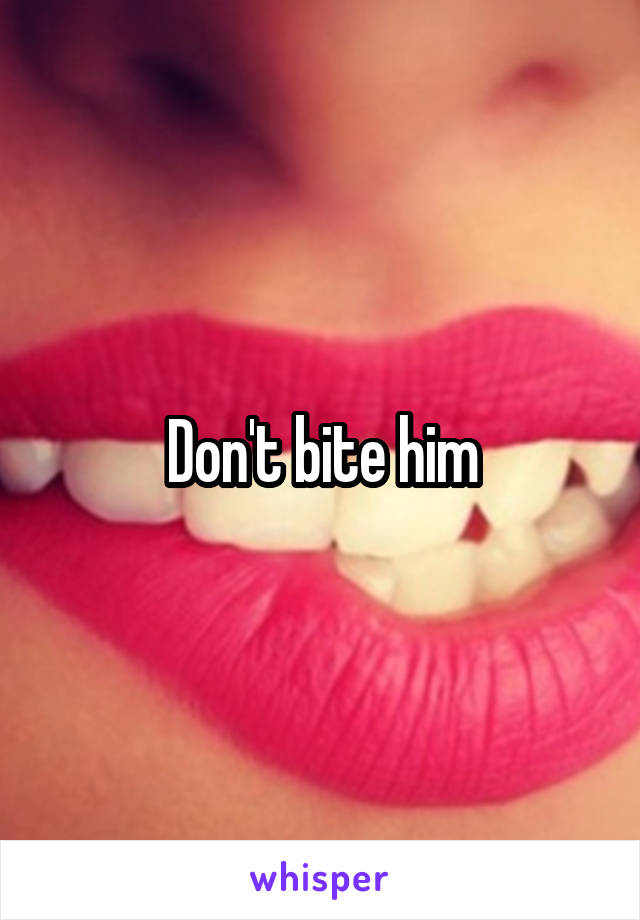 Don't bite him