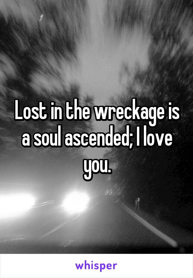 Lost in the wreckage is a soul ascended; I love you.