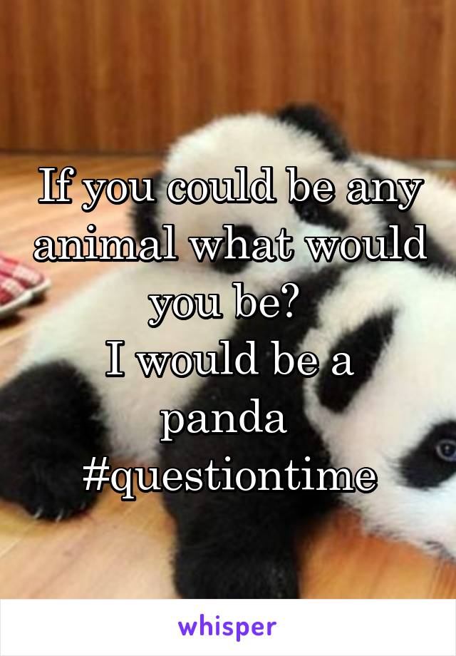 If you could be any animal what would you be? 
I would be a panda 
#questiontime