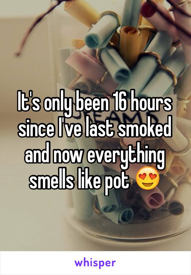 It's only been 16 hours since I've last smoked and now everything smells like pot 😍 