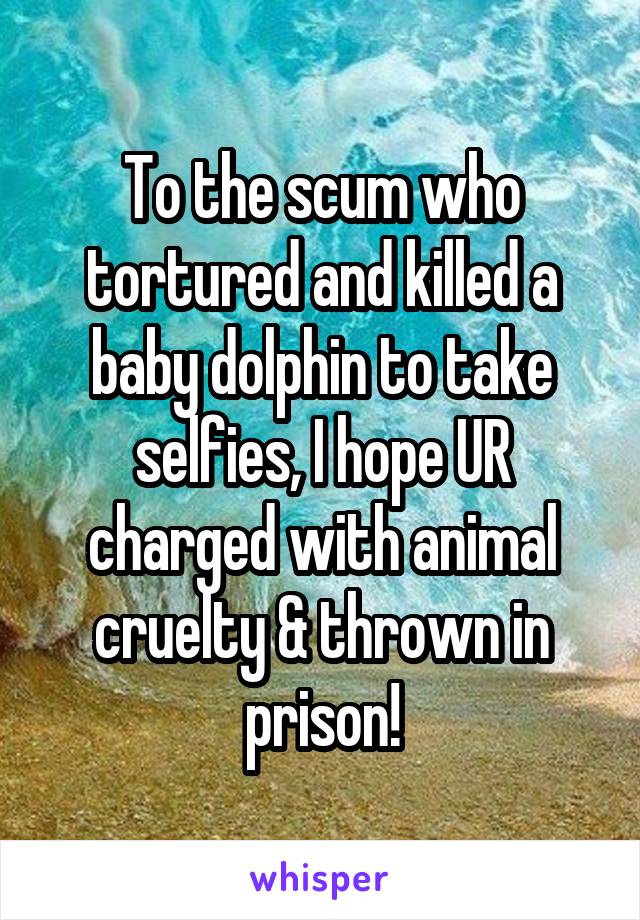 To the scum who tortured and killed a baby dolphin to take selfies, I hope UR charged with animal cruelty & thrown in prison!