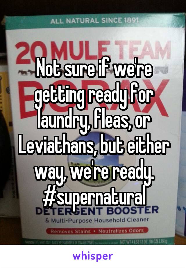 Not sure if we're getting ready for laundry, fleas, or Leviathans, but either way, we're ready. #supernatural