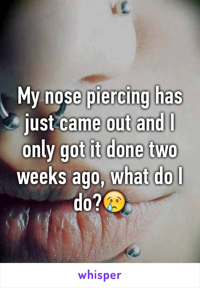 My nose piercing has just came out and I only got it done two weeks ago, what do I do?😢