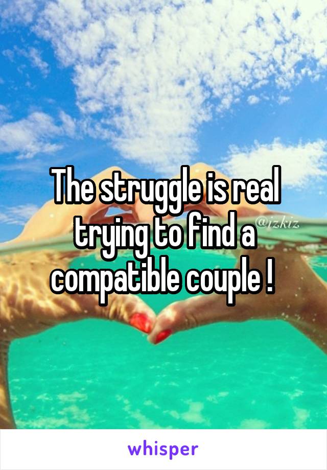 The struggle is real trying to find a compatible couple ! 