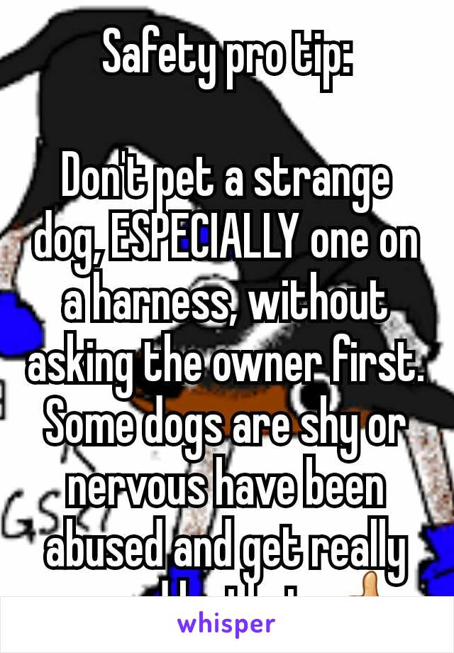 Safety pro tip:

Don't pet a strange dog, ESPECIALLY one on a harness, without asking the owner first. Some dogs are shy or nervous have been abused and get really scared by that. 👍