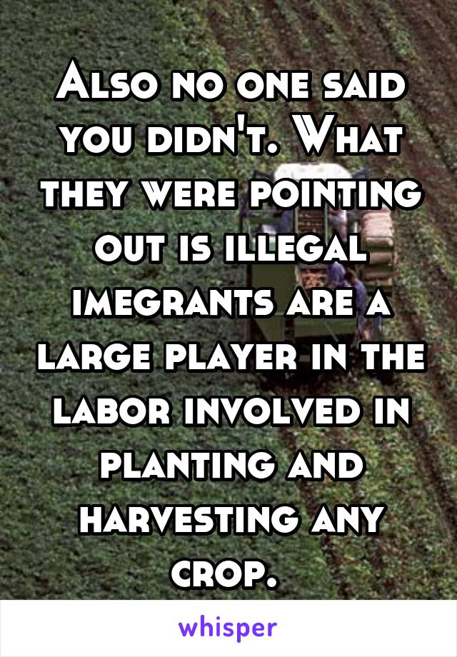 Also no one said you didn't. What they were pointing out is illegal imegrants are a large player in the labor involved in planting and harvesting any crop. 