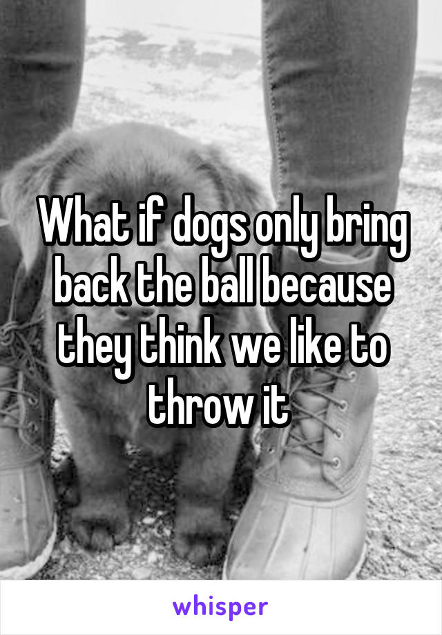 What if dogs only bring back the ball because they think we like to throw it 