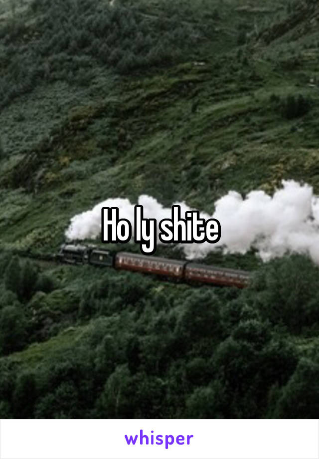 Ho ly shite