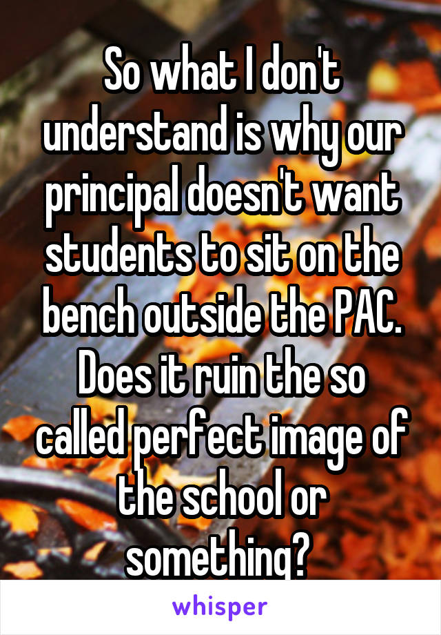 So what I don't understand is why our principal doesn't want students to sit on the bench outside the PAC. Does it ruin the so called perfect image of the school or something? 