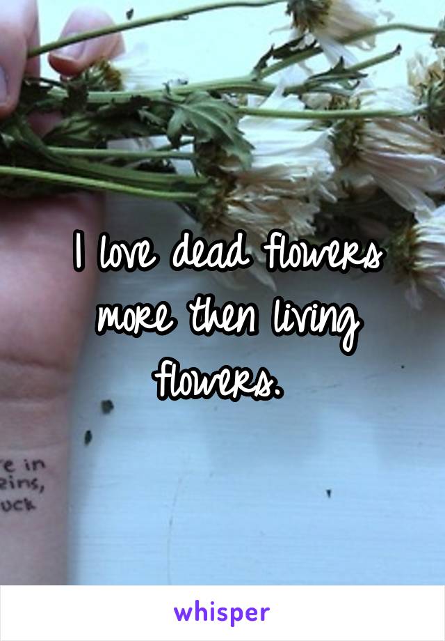 I love dead flowers more then living flowers. 