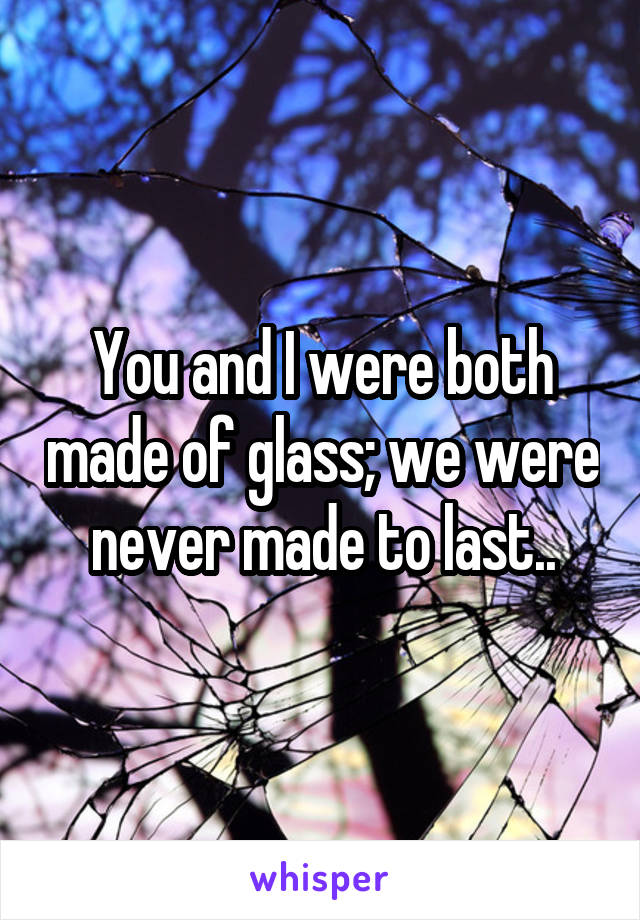 You and I were both made of glass; we were never made to last..