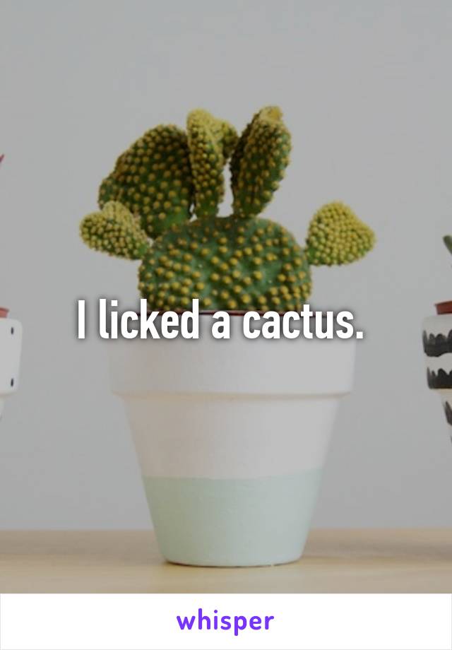 I licked a cactus. 