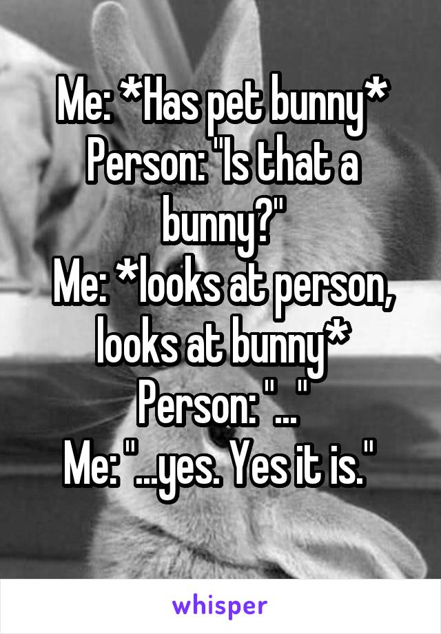 Me: *Has pet bunny*
Person: "Is that a bunny?"
Me: *looks at person, looks at bunny*
Person: "..."
Me: "...yes. Yes it is." 
