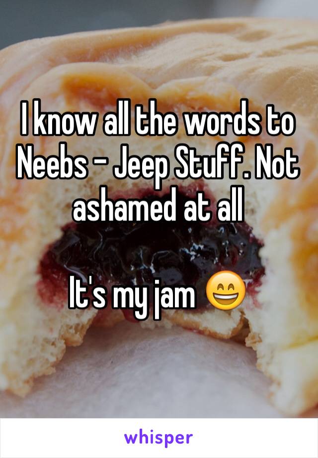 I know all the words to Neebs - Jeep Stuff. Not ashamed at all 

It's my jam 😄