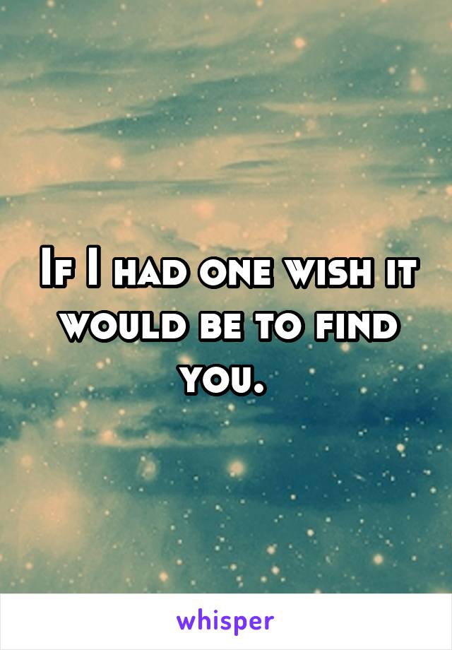 If I had one wish it would be to find you. 