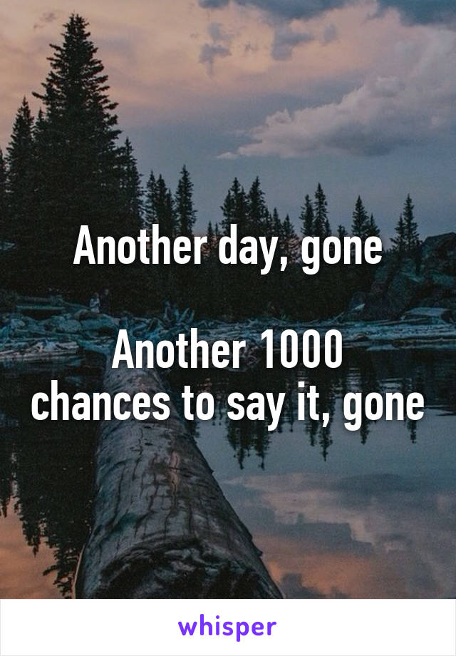 Another day, gone

Another 1000 chances to say it, gone