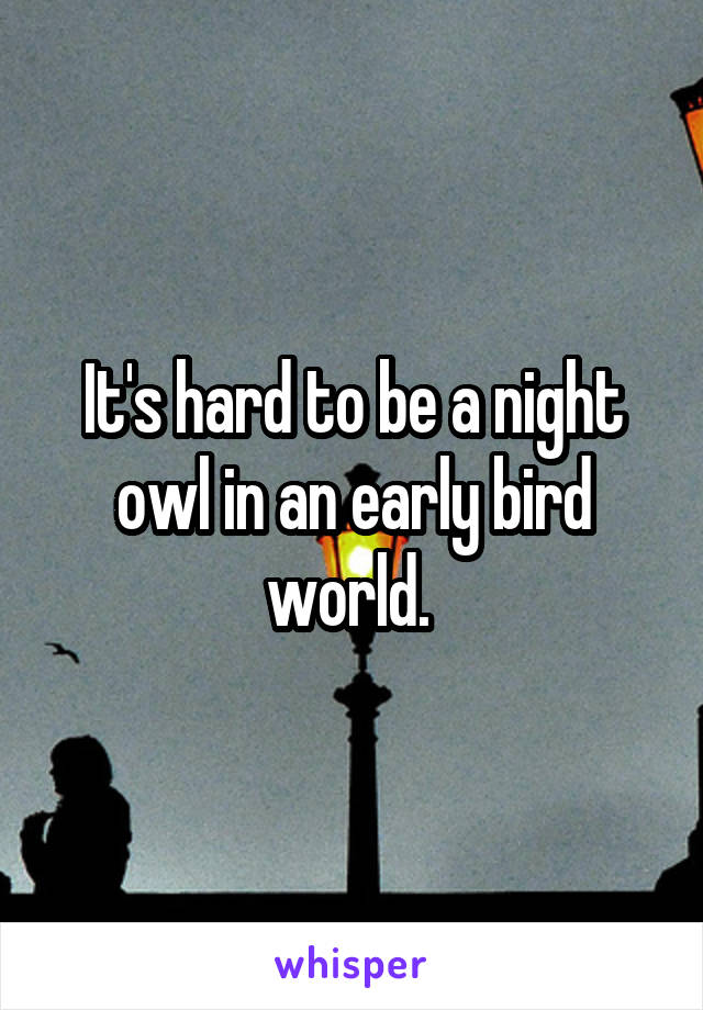 It's hard to be a night owl in an early bird world. 