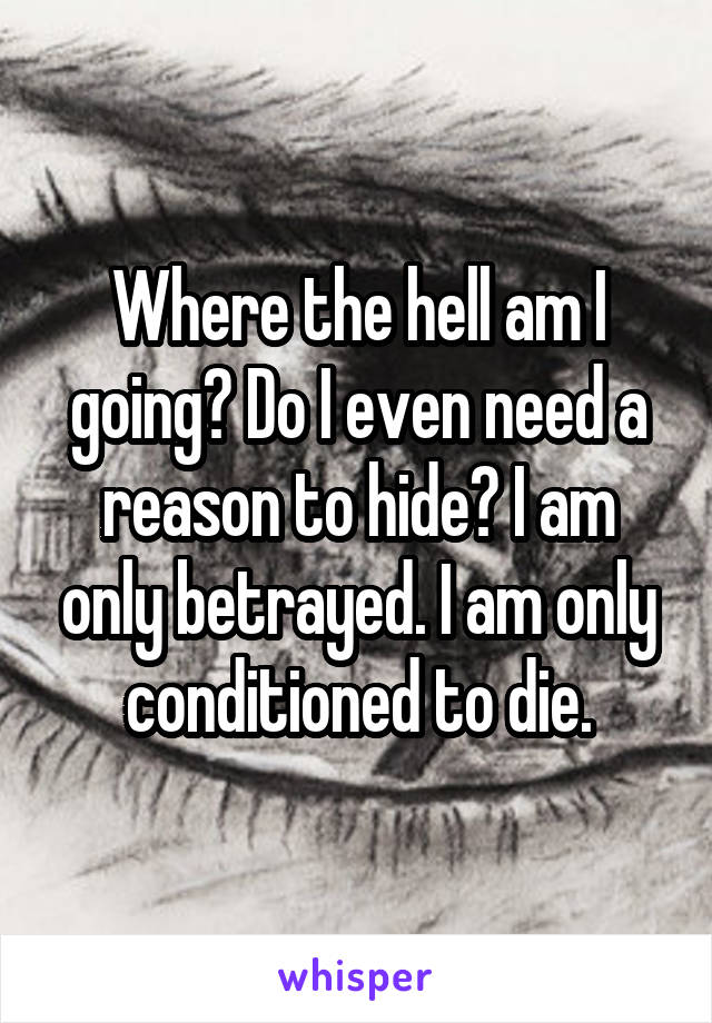 Where the hell am I going? Do I even need a reason to hide? I am only betrayed. I am only conditioned to die.