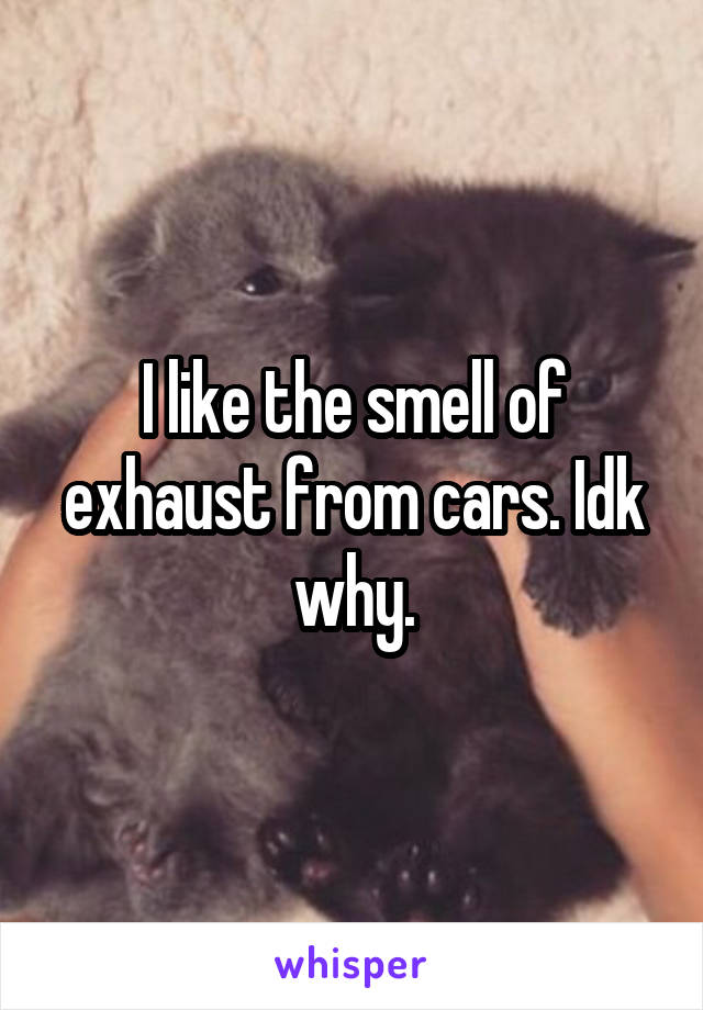 I like the smell of exhaust from cars. Idk why.