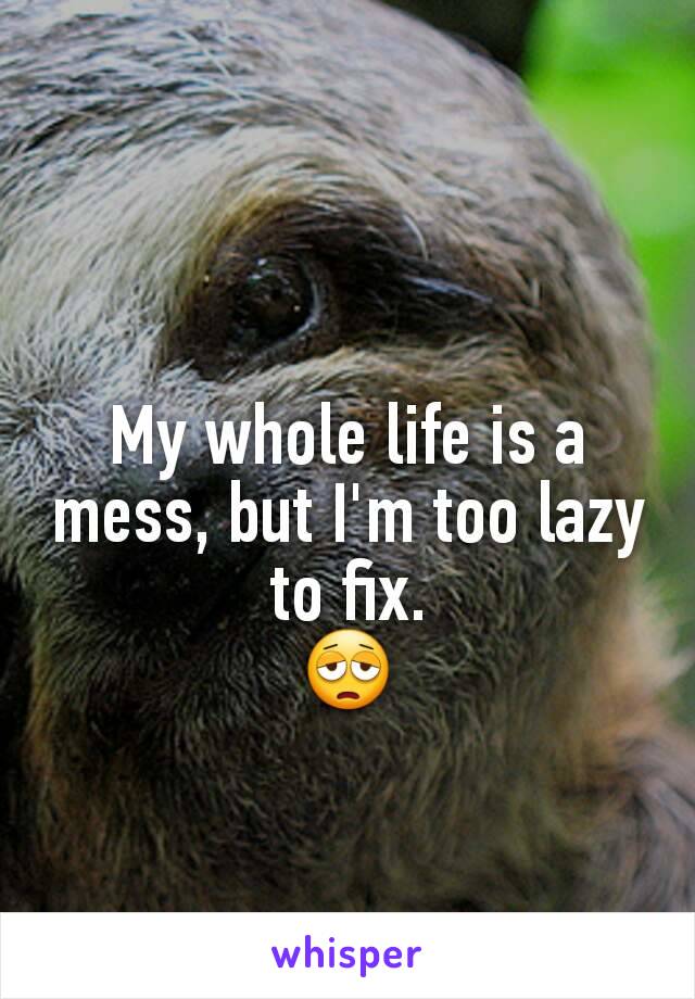 My whole life is a mess, but I'm too lazy to fix.
😩