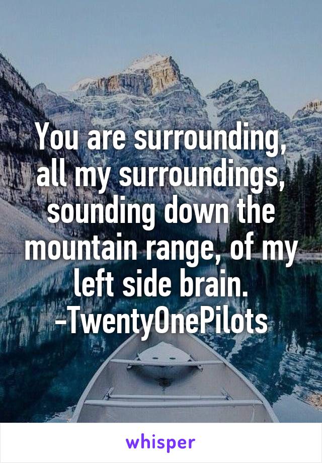 You are surrounding, all my surroundings, sounding down the mountain range, of my left side brain.
-TwentyOnePilots