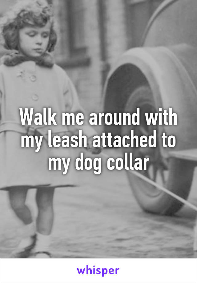 Walk me around with my leash attached to my dog collar