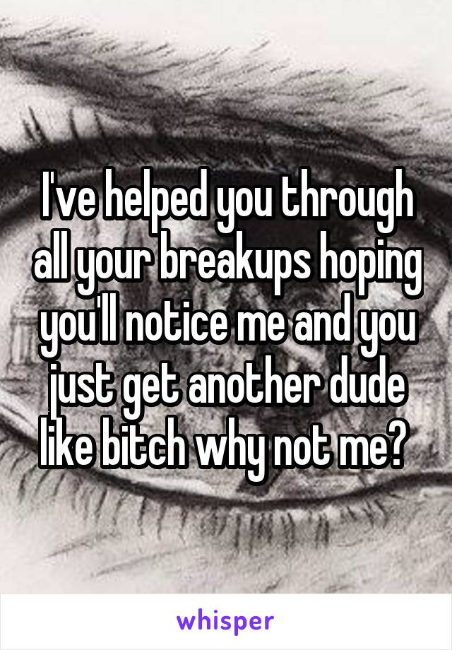 I've helped you through all your breakups hoping you'll notice me and you just get another dude like bitch why not me? 