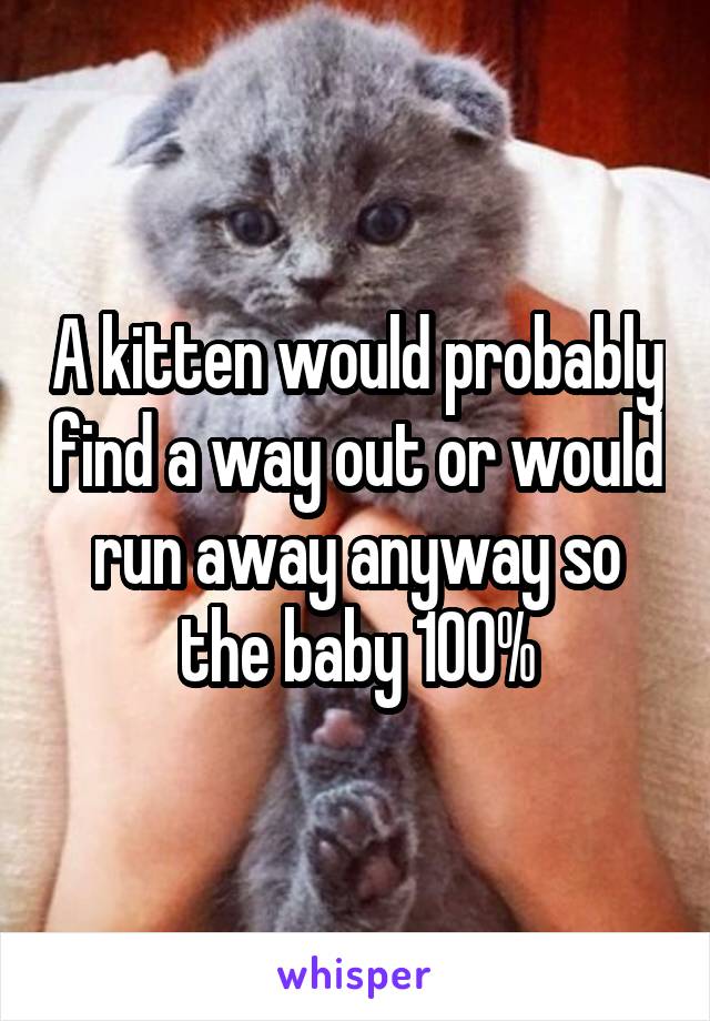 A kitten would probably find a way out or would run away anyway so the baby 100%