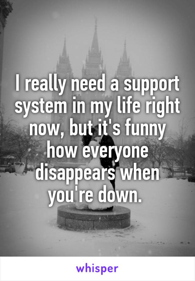 I really need a support system in my life right now, but it's funny how everyone disappears when you're down. 