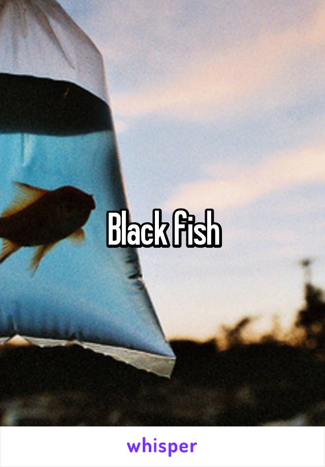 Black fish