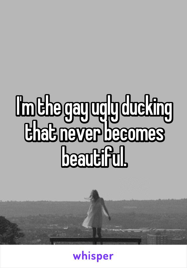 I'm the gay ugly ducking that never becomes beautiful.