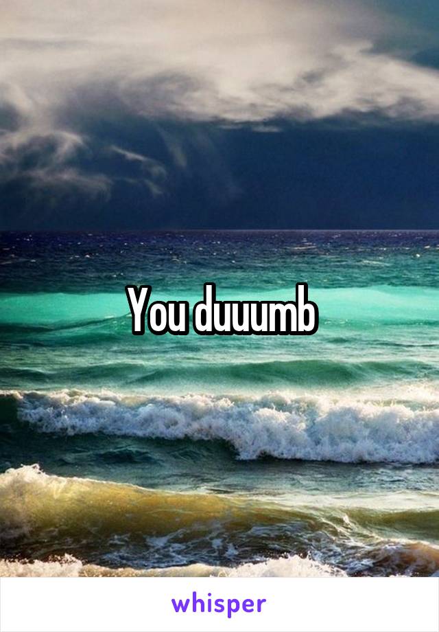 You duuumb