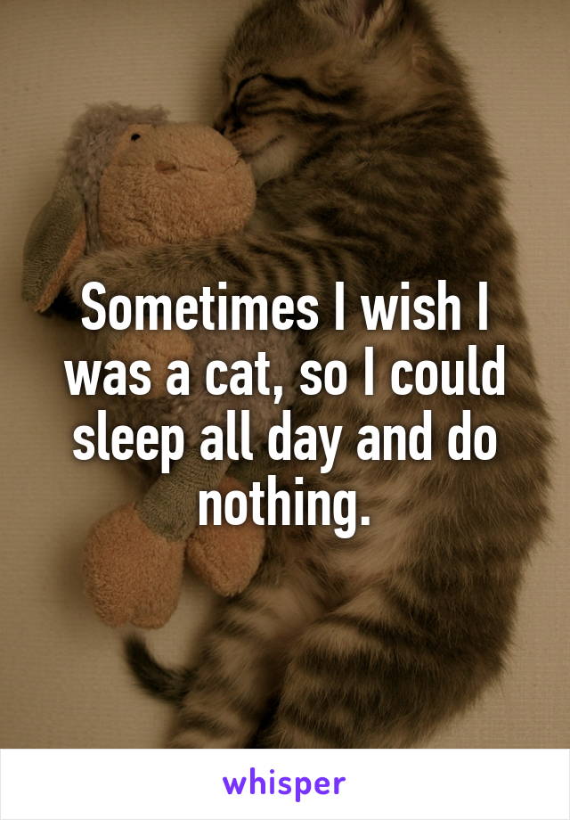 Sometimes I wish I was a cat, so I could sleep all day and do nothing.